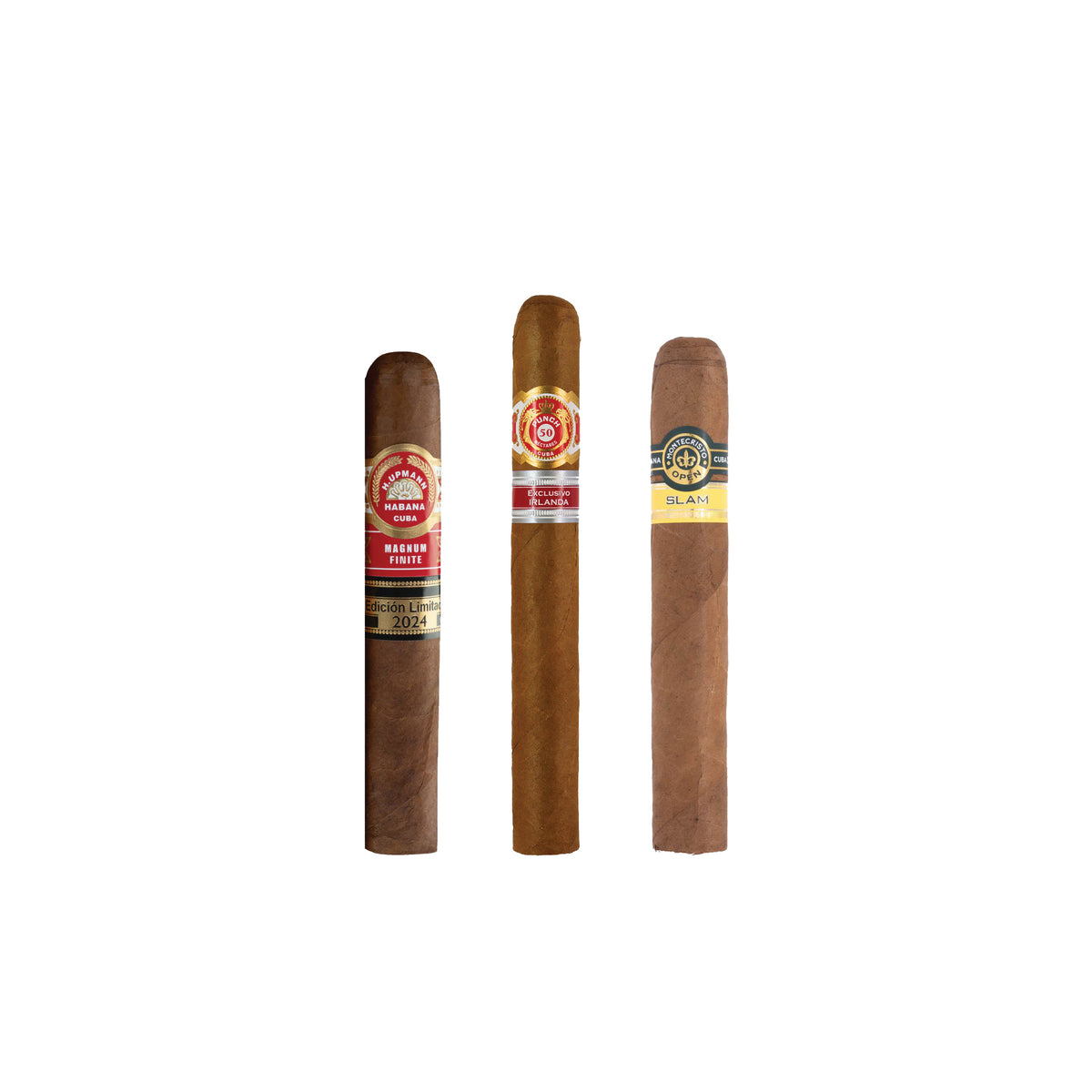 New Releases 2025 Selection