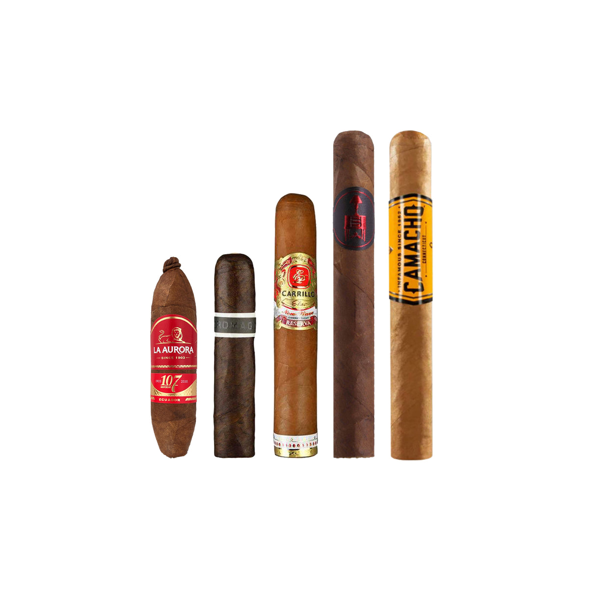 New World Basic Selection