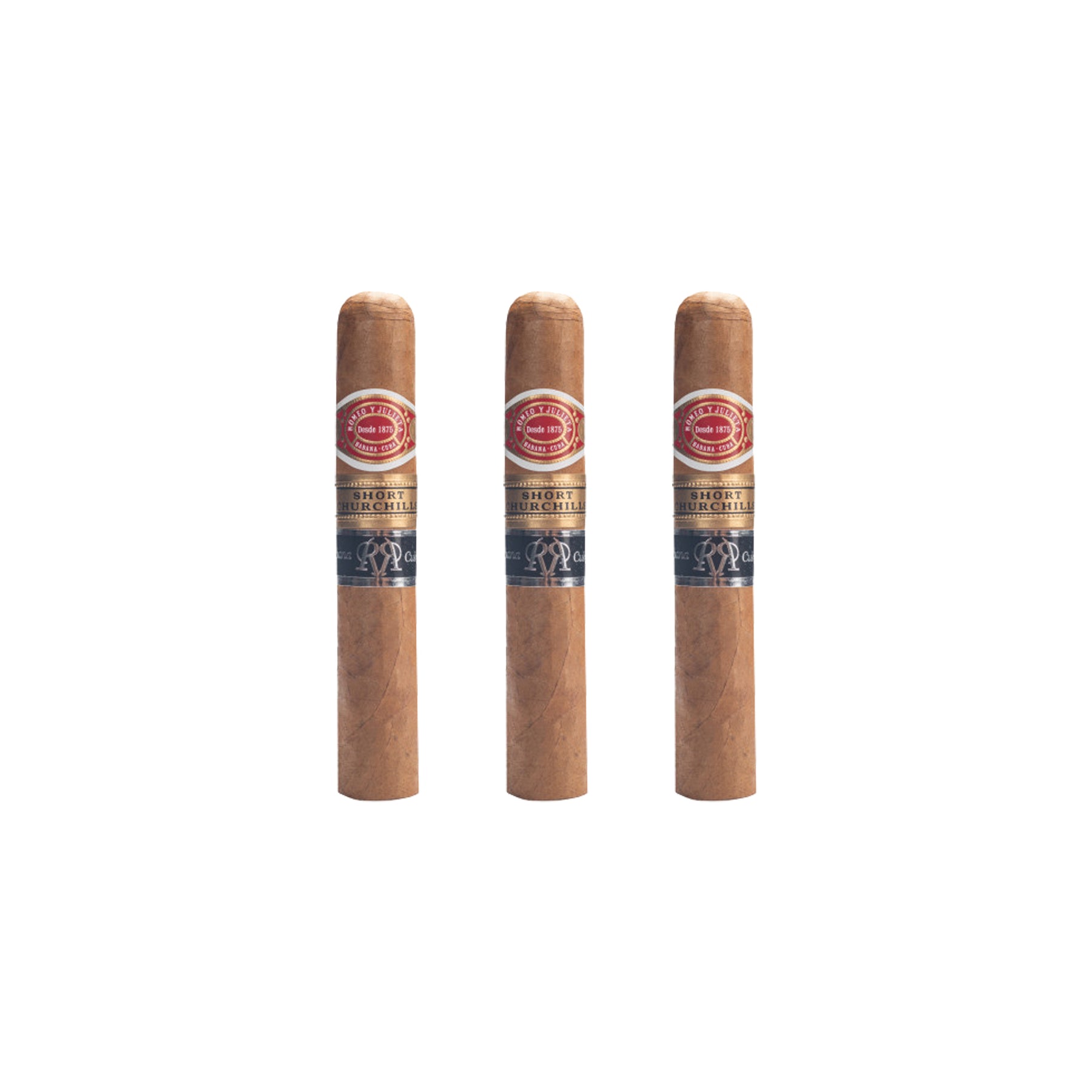 Short Churchill Reserva 2019