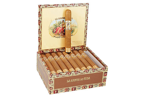 Connecticut Robusto